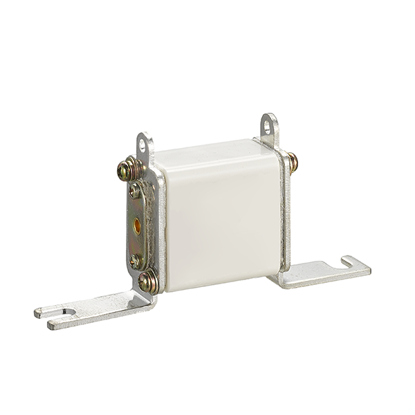 RS8-500/口-L2A5N熔斷器