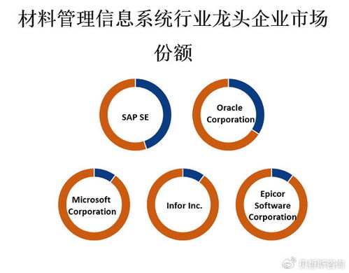 材料管理信息系統行業市場競爭格局與企業總部管理戰略分析